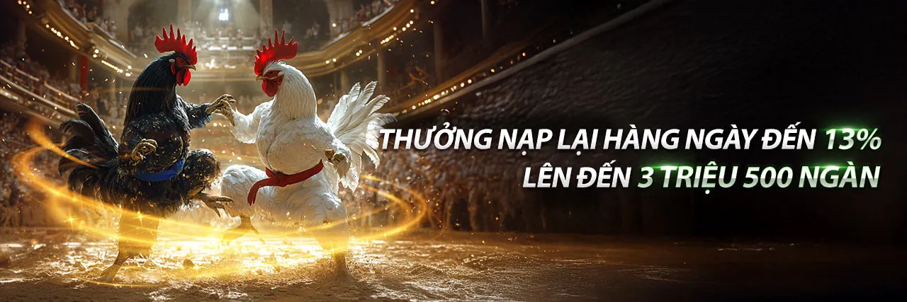 Tin tức mới nhất từ VN6 BET 2026