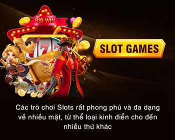Cấp độ VIP Bạch kim của vn6 bet